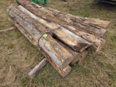 Locust Posts