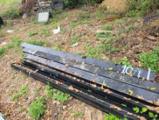 Future Pallet Fork Extensions 'NEW'
