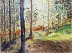 SCOTTISH SCHOOL, WOODLAND PATH