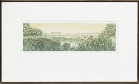 * YOLANDA EVELEENS (DUTCH), SCHAPENLAN BERGEN