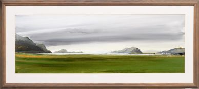 * DAVID M GRAHAM, CRINAN