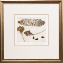 * ELIZABETH BLACKADDER DBE RA RSA RSW RGI DLitt (SCOTTISH 1931 - 2021), SEED PODS AND BEES