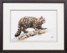 * GEORGINA MCMASTER (SCOTTISH b. 1980), HIGHLAND TIGER
