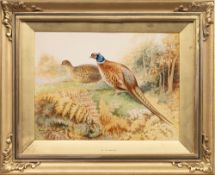 * GEORGE JAMES RANKIN (BRITISH 1883 - 1959), COCK AND HEN PHEASANTS AT THE EDGE OF A WOOD