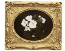 JAMES STUART PARK (SCOTTISH 1862 - 1933) WHITE JASMINE