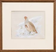 * RALSTON GUDGEON RSW (SCOTTISH 1910 - 1984), PARTRIDGE