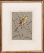 * RALSTON GUDGEON RSW (SCOTTISH 1910 - 1984), YELLOWHAMMER