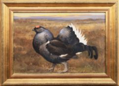ATTRIBUTED TO RALSTON GUDGEON RSW (SCOTTISH 1910 - 1984), BLACK GROUSE