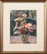 J.W. FERGUSON, BEGONIAS IN THE PORCH