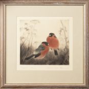 CURT MEYER-EBERHARDT (1895-1977), BULLFINCHES