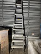 CAROLINA 10' ALUMINUM LADDER