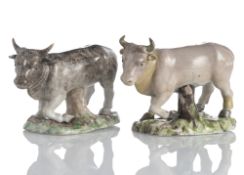 TWO COWS