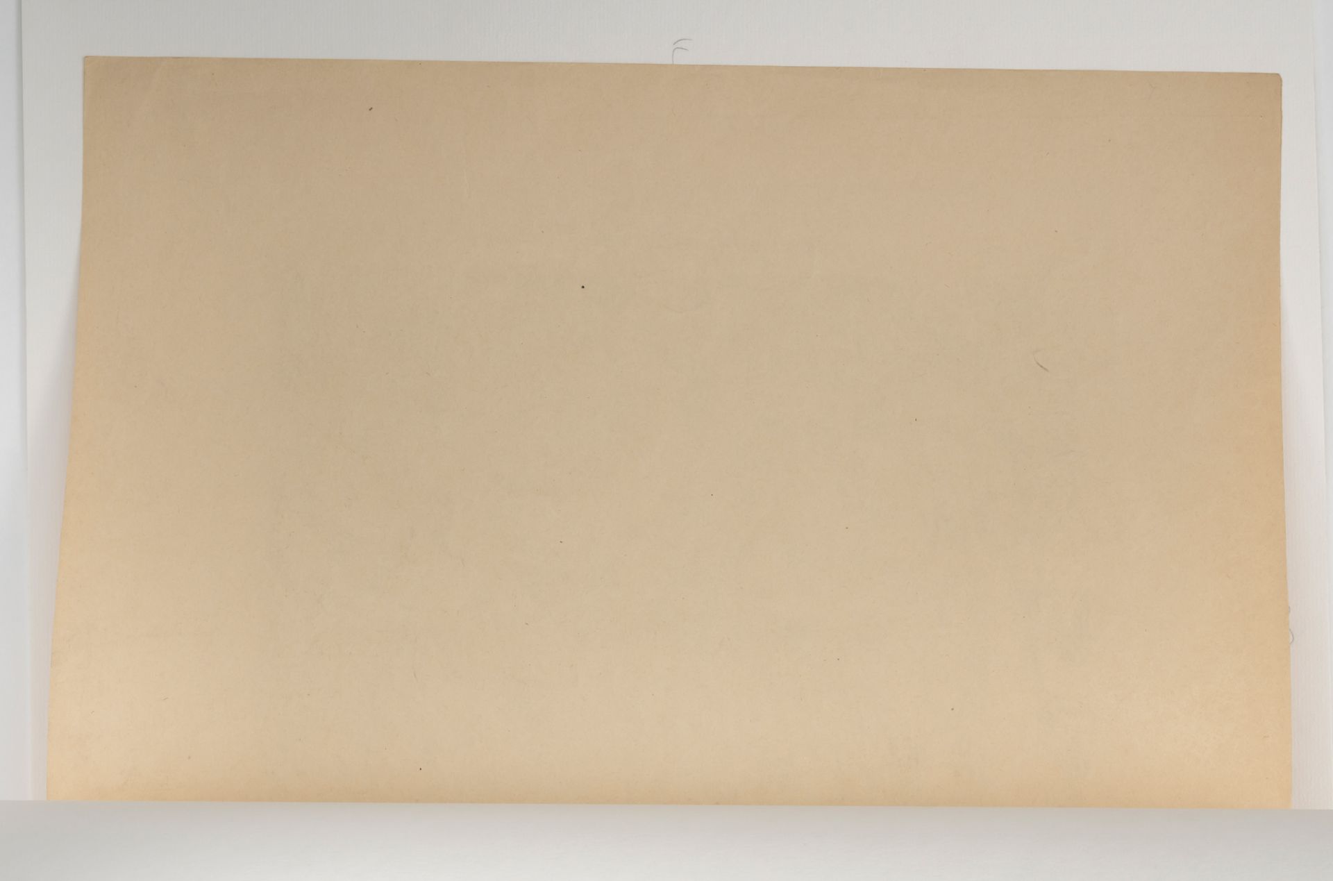 Schnarrenberger, Wilhelm - Bild 3 aus 3