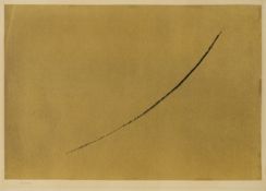 Fiedler, Francois