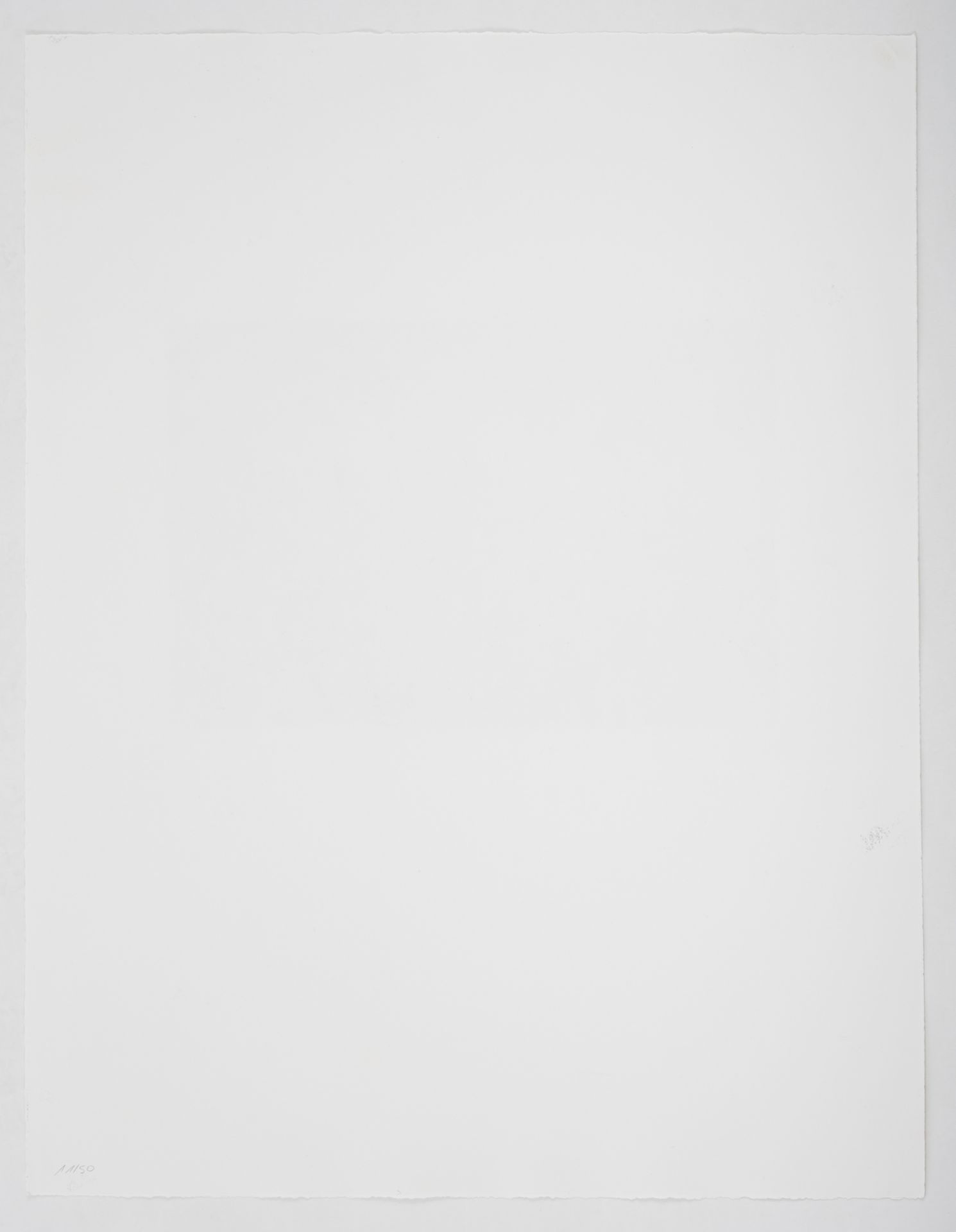 Konvolut: 4 Grafiken - Bild 9 aus 12