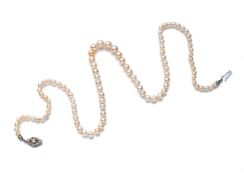 NATURAL PEARL NECKLACE