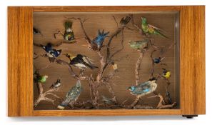 A DISPLAY CASE WITH STUFFED BIRDS