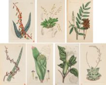 Botany