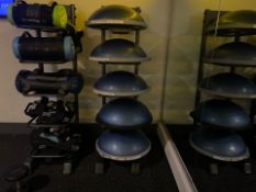1 x Bosu Balance Board & Stand
