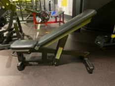 Technogym Adjustable Bench