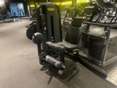 Technogym Leg Extension Pin Loaded