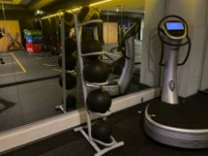 Exercise Balls and Stand