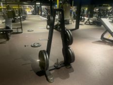 Weight Plate Tree