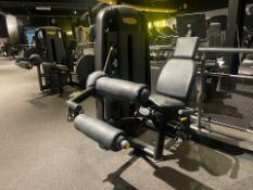 Technogym Leg Curl Pin Loaded