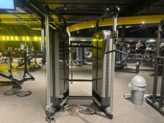 Technogym Dual Action Pulley Pin Loaded