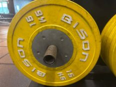 Bison 15kg Plate x2