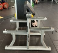 LifeFitness Bicep Curl