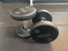 Pair Of Foreman Dumbbell 12kg