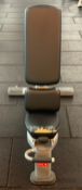LifeFitness Bench