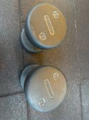Pair Of Foreman Dumbbell 28kg