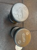 Pair Of Foreman Dumbbell 26kg
