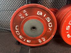 Bison 25kg Plate x2