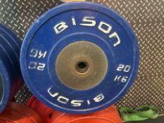 Bison 20kg Plate x2