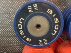 Bison 20kg Plate x2