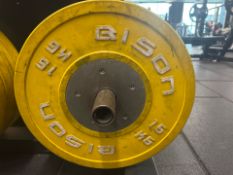 Bison 15kg Plate x2