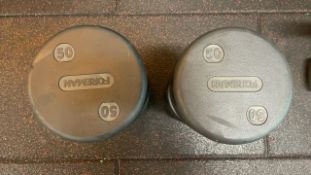 Pair Of Foreman Dumbbell 50kg