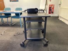 Metal Tiered Trolley