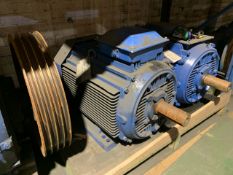 Agitator Motor