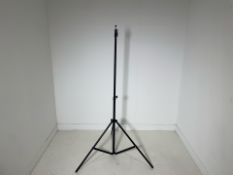 Light Stand
