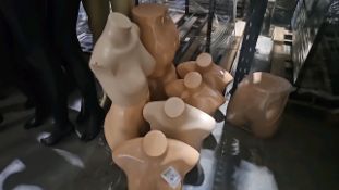 9 x Assorted Mannequin Busts & Bums