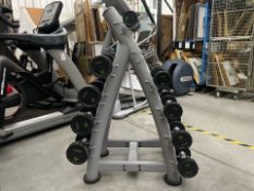 Physical Dumbell Stand Including Pairs Of 1,3,4,5,6,7,8,9,10kg Dumbbells