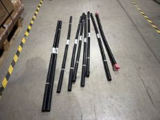 ESP Plastic Barbells x10