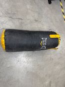 Everlast Punchbag
