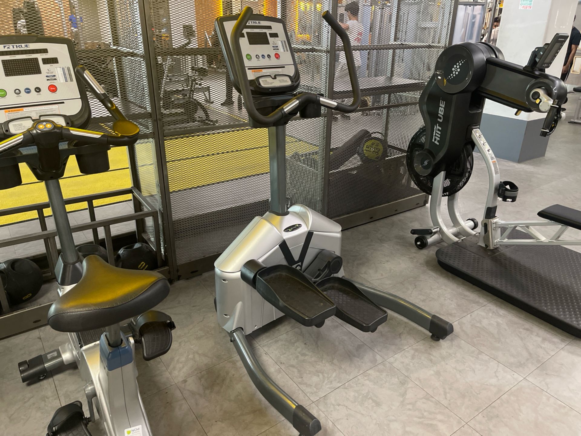 True Fitness Lateral Cross Trainer