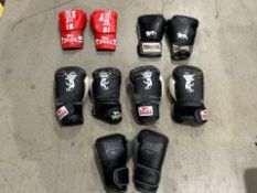 5 pairs of Assorted Boxing Gloves
