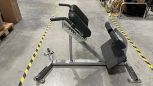 Hammer Strength Back Extension